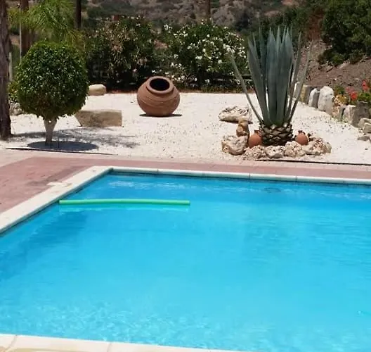 Melyia كاتو بيرغوس